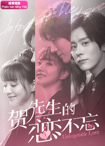 贺先生的恋恋不忘 越南语版