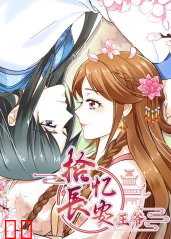 拾忆长安之王爷