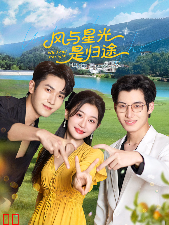 风与星光是归途