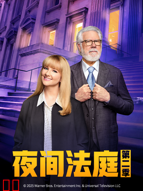 夜间法庭第二季