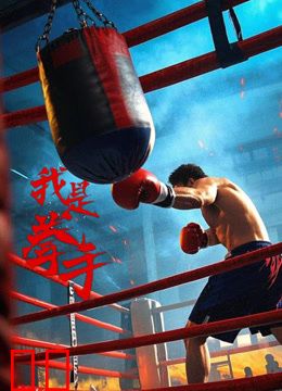 我是拳手