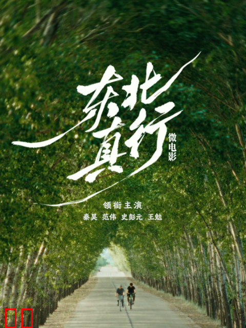 东北真行-电影-高清正版在线观看-bilibili-哔哩哔哩
