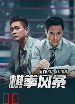 棋拳风暴（粤语）