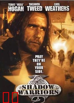 影子勇士2(普通话)