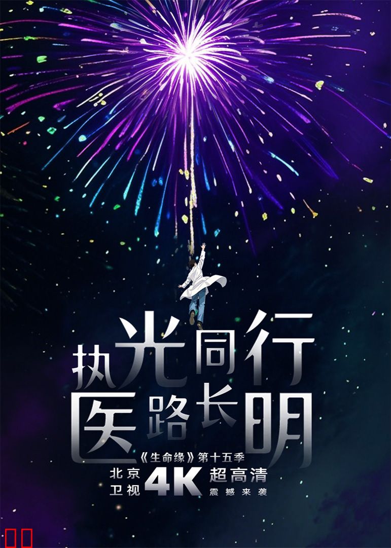 生命缘第十五季