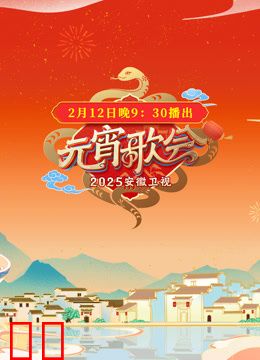 2025安徽元宵晚会