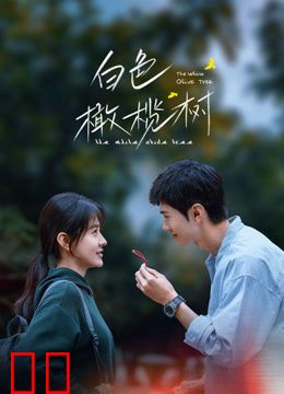 白色橄榄树