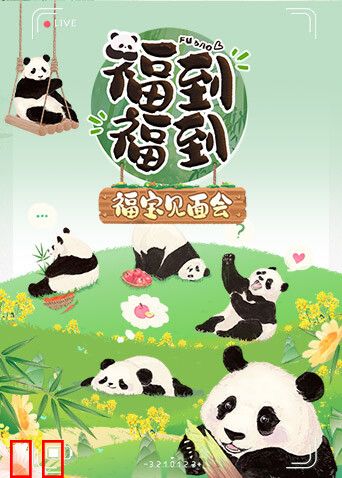 福到福到福宝见面会