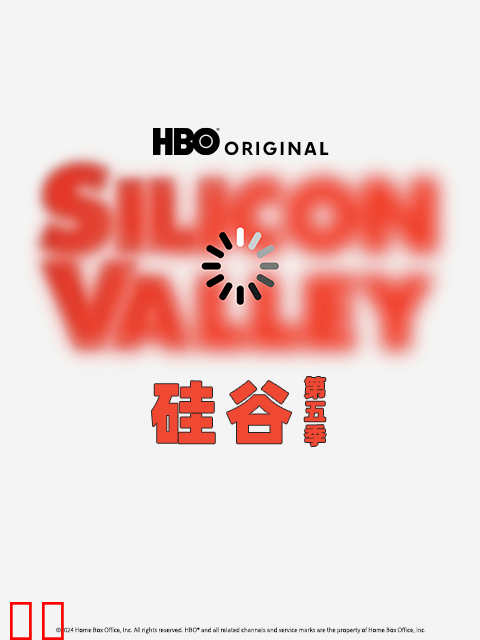 硅谷第五季