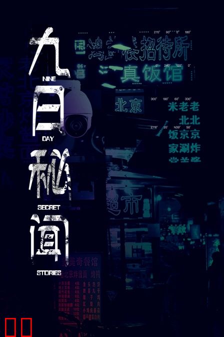 九日秘闻