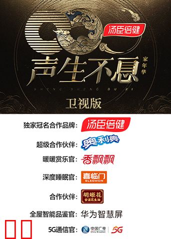 声生不息·家年华卫视版