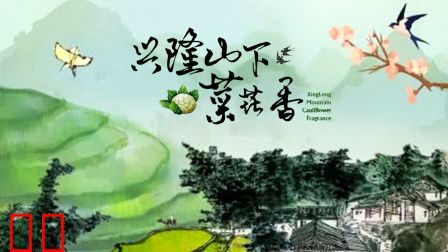 兴隆山下菜花香