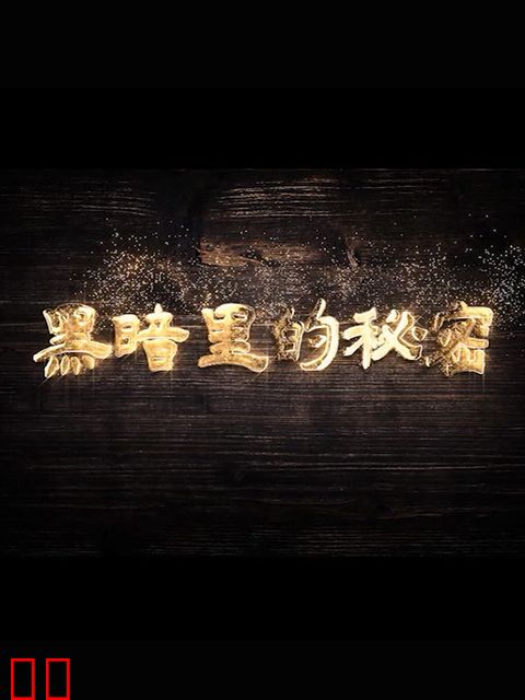 黑暗里的秘密