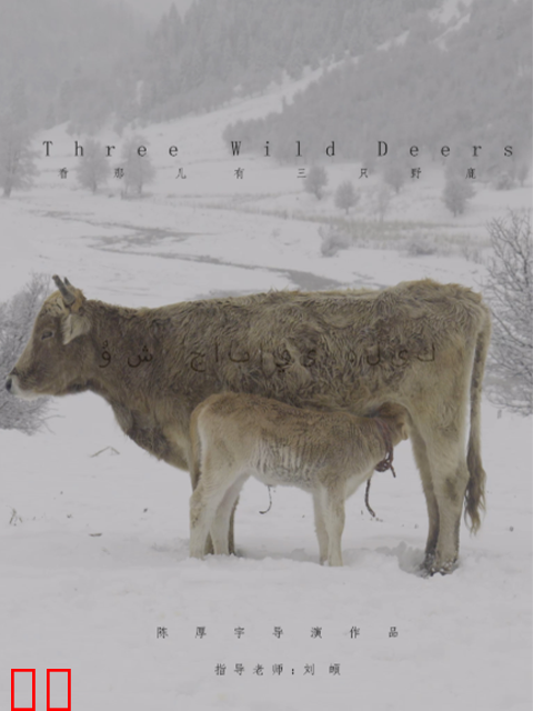 看那儿有三只野鹿