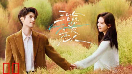 治愈系恋人TV版