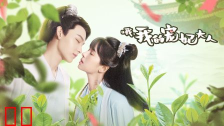 哦，我的宠妃大人