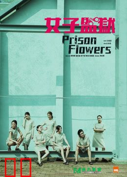 女囚风暴1995（粤语）