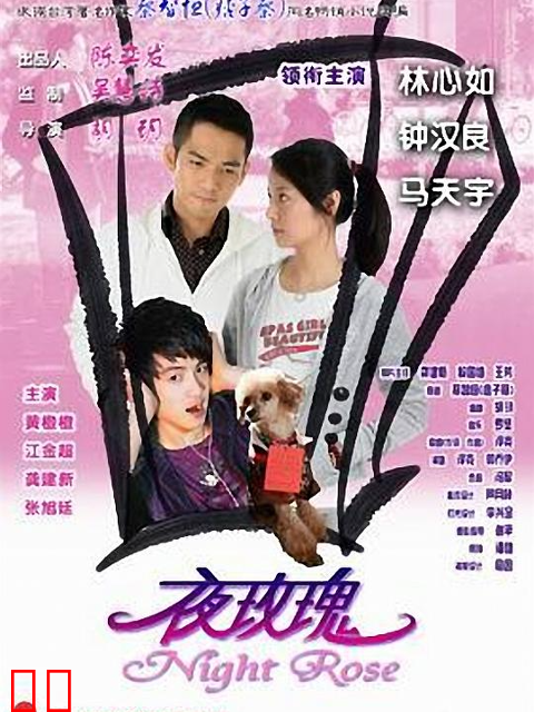 夜玫瑰
