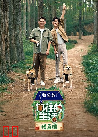 向往的生活7慢直播