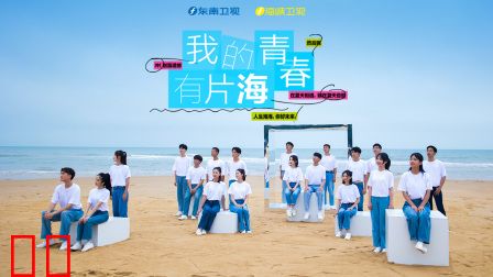 我的青春有片海