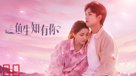 鱼生知有你
