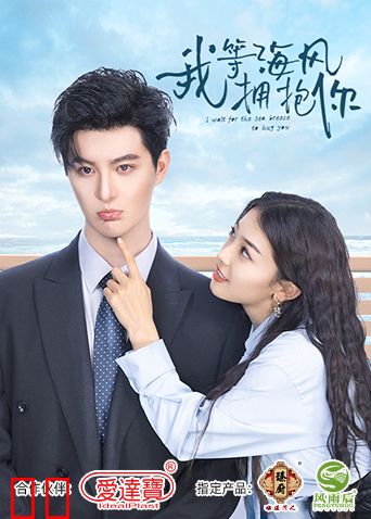 我等海风拥抱你