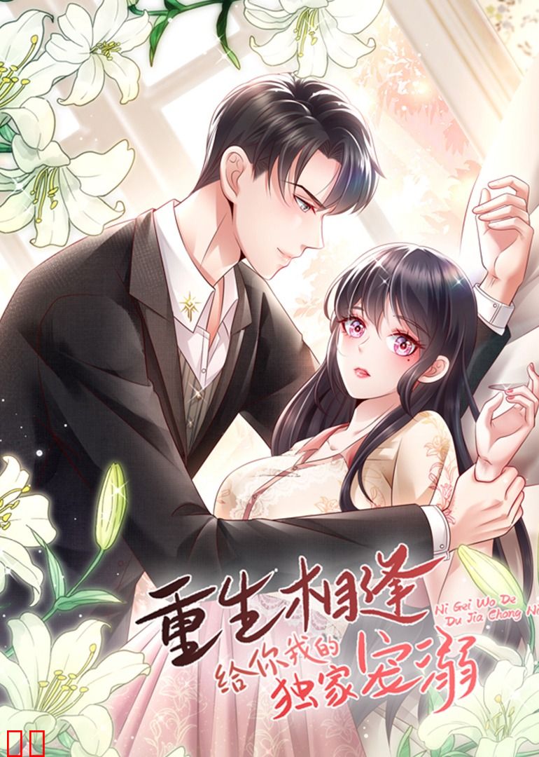 重生相逢：给你我的独家宠溺