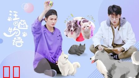 汪喵物语简体版