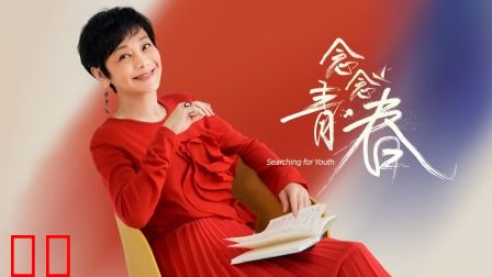 念念青春简体版