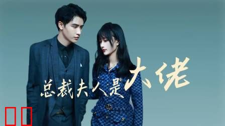 总裁夫人是大佬