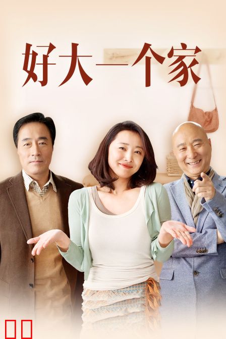 好大一个家