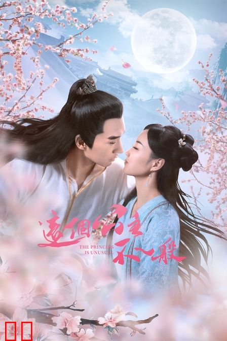 这个公主不一般