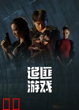 追匪游戏普通话版