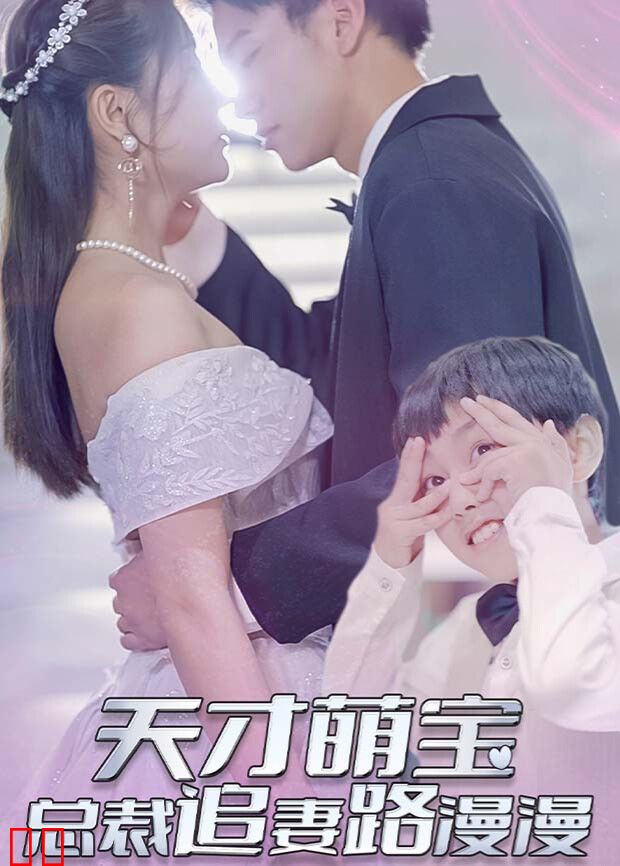 天才萌宝：总裁追妻路漫漫