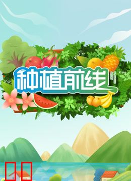 种植前线2024