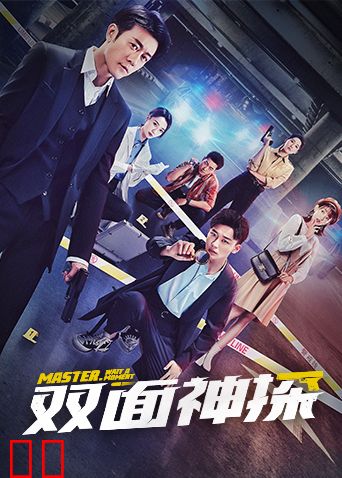 双面神探