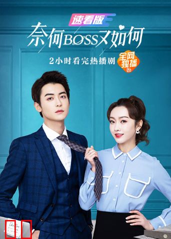奈何BOSS又如何速看版