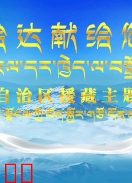 西藏自治区援藏主题晚会