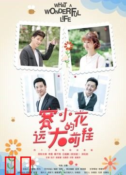 赛小花的远大前程