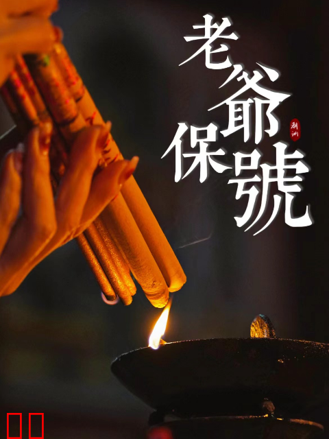 老爷保号