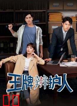 王牌辩护人