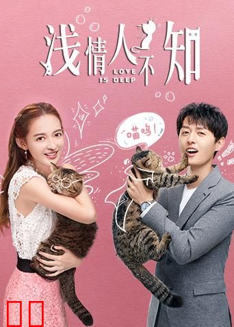 浅情人不知