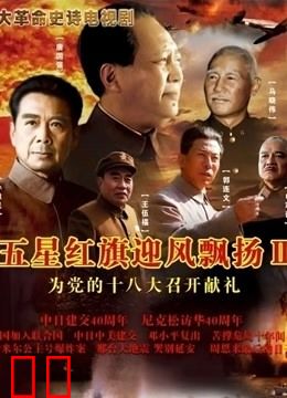 五星红旗迎风飘扬2