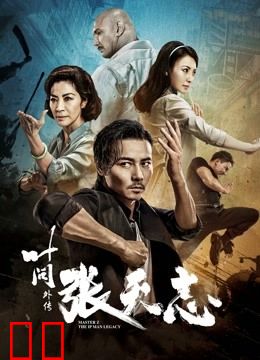 叶问外传：张天志