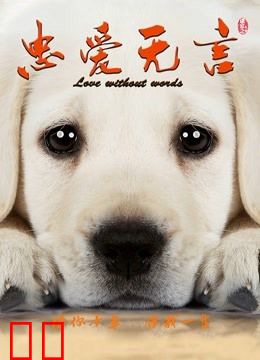 忠爱无言