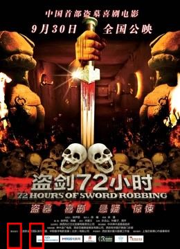 盗剑72小时