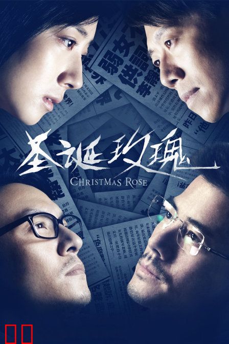 圣诞玫瑰