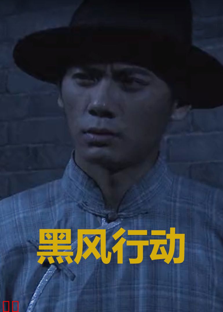 黑风行动
