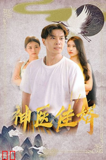 神医佳婿