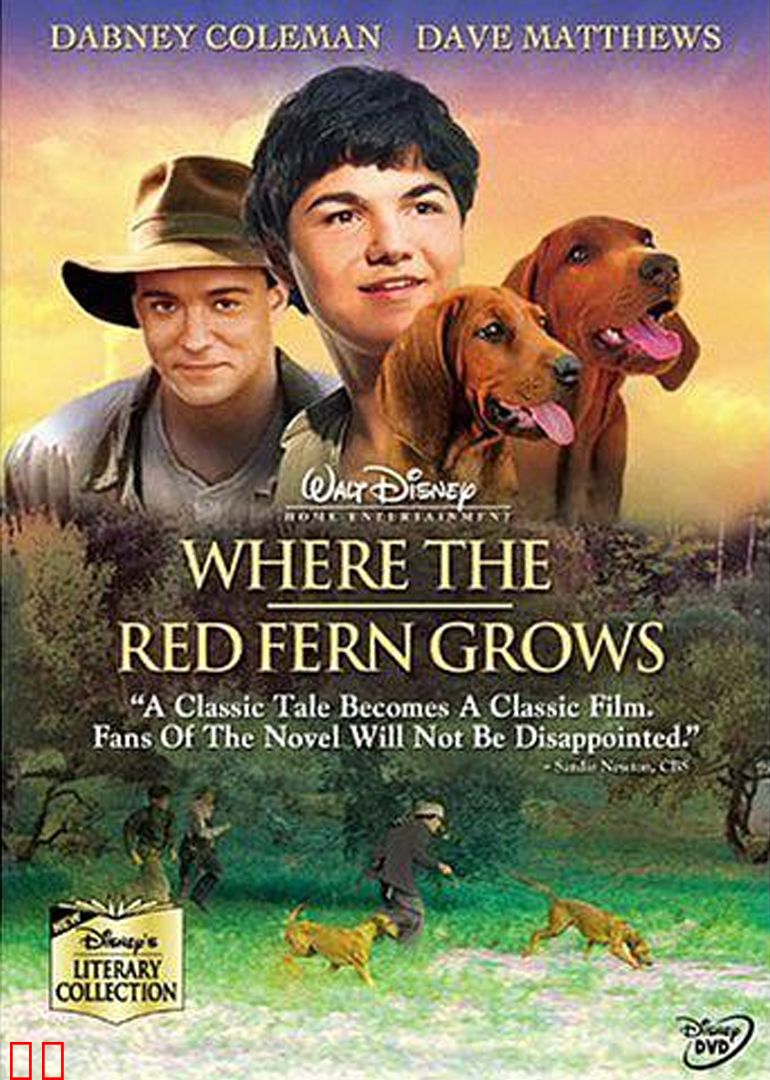 红色羊齿草的故乡